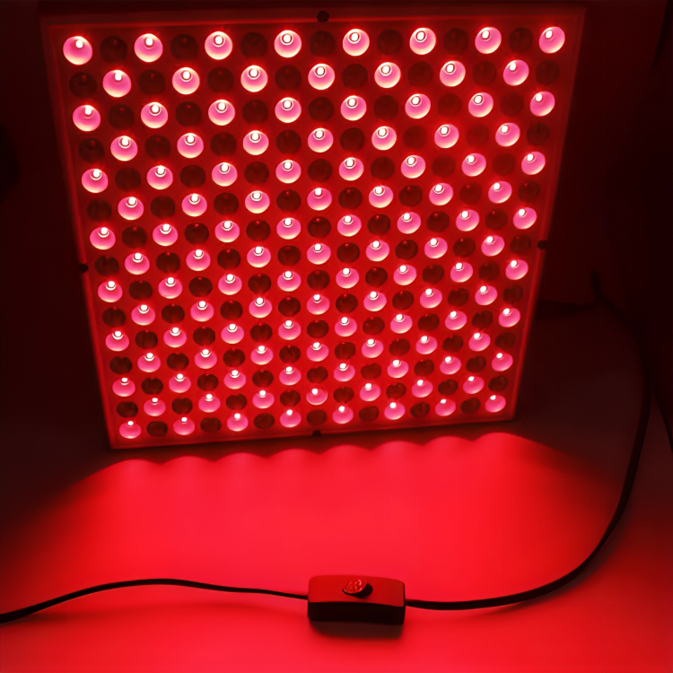 Rejuvenate Red Light Therapy